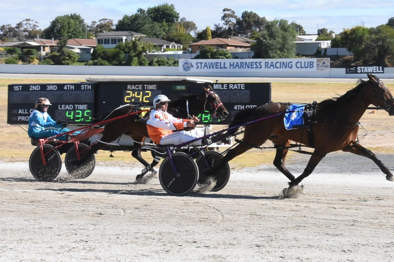 Connections of Sometuffluv will be hoping the lightly raced 4yo gelding can repeat last week's heat victory at Stawell and take out the time honoured, $20,000 Ararat Pacing Cup Final on Friday night. Picture supplied by Claire Weston Photography