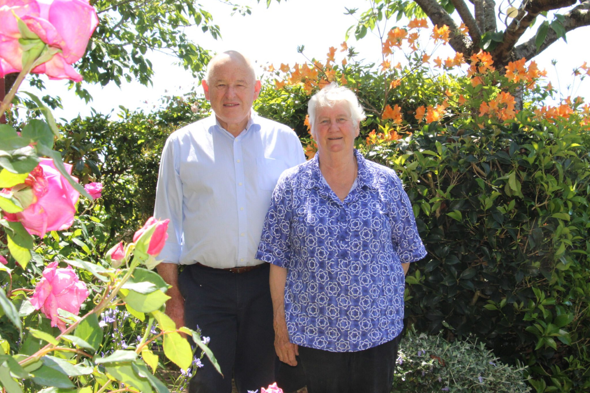 Top gardens on show - feature photo