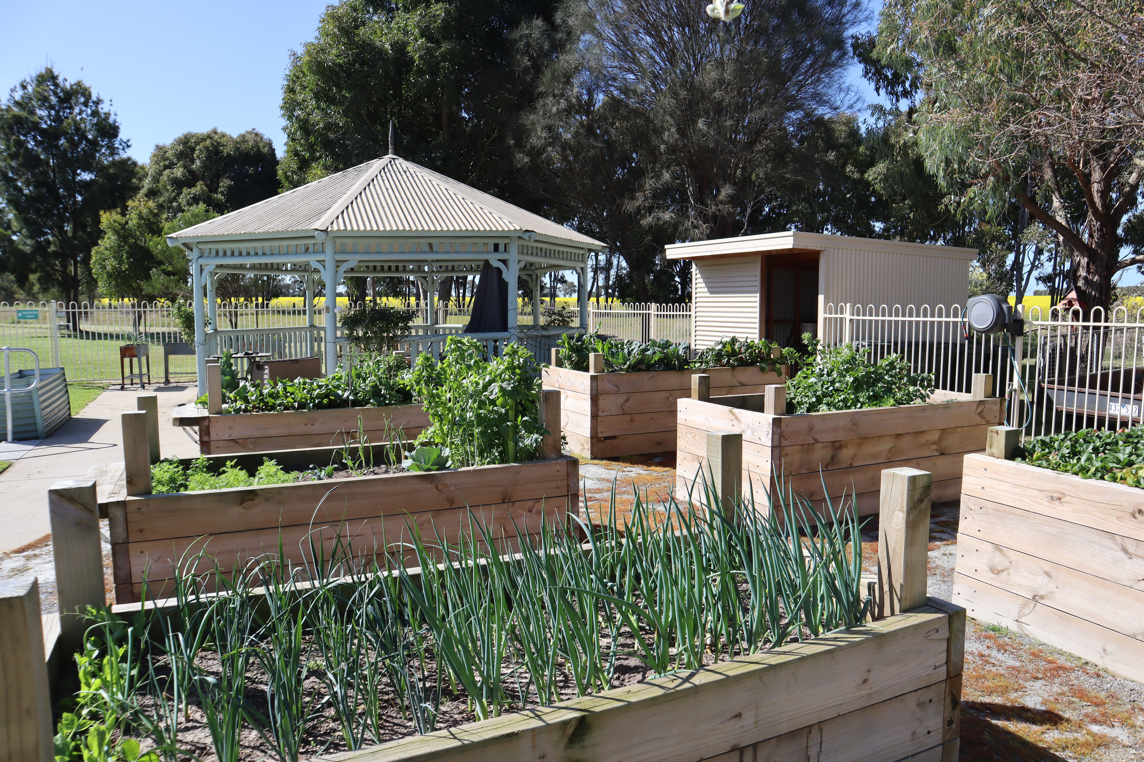 Gardens to help resident bloom in Ararat and Willaura - feature photo