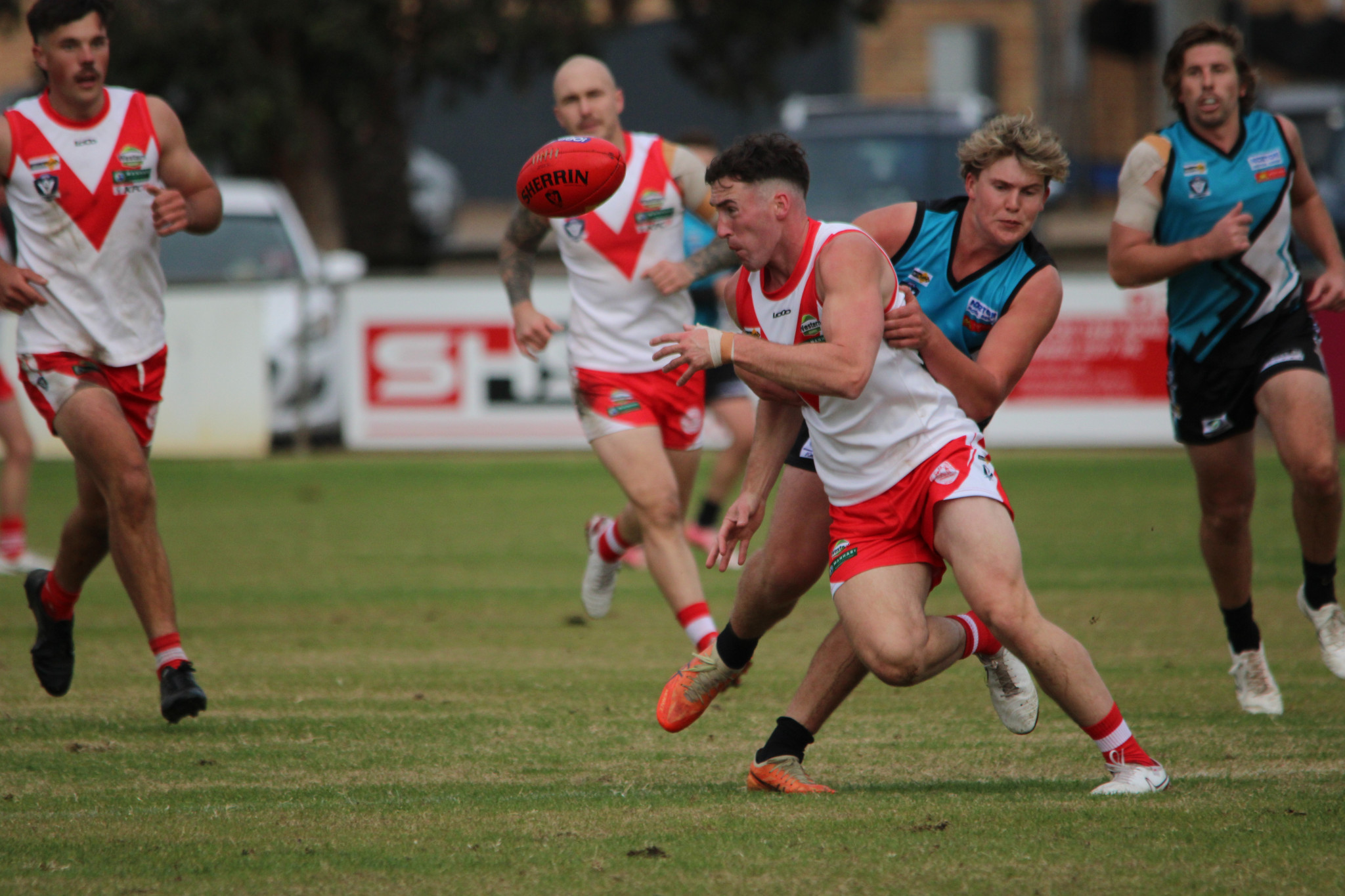 Rats' Baydn Cosgriff battles for the ball in his 100th senior game. PHOTO: CHRIS GRAETZ
