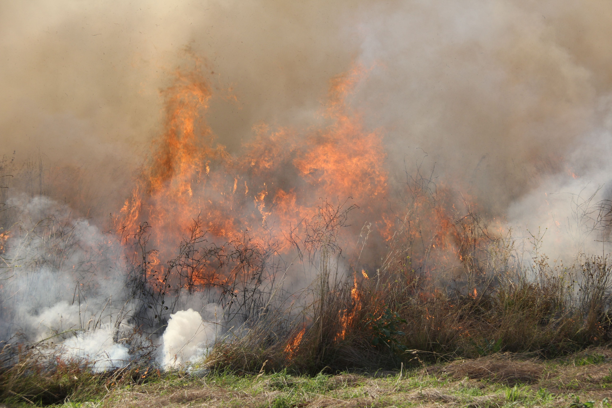 Damaging winds are predicted for our region tomorrow and the CFA is urging people to rethink any plans to burn off.