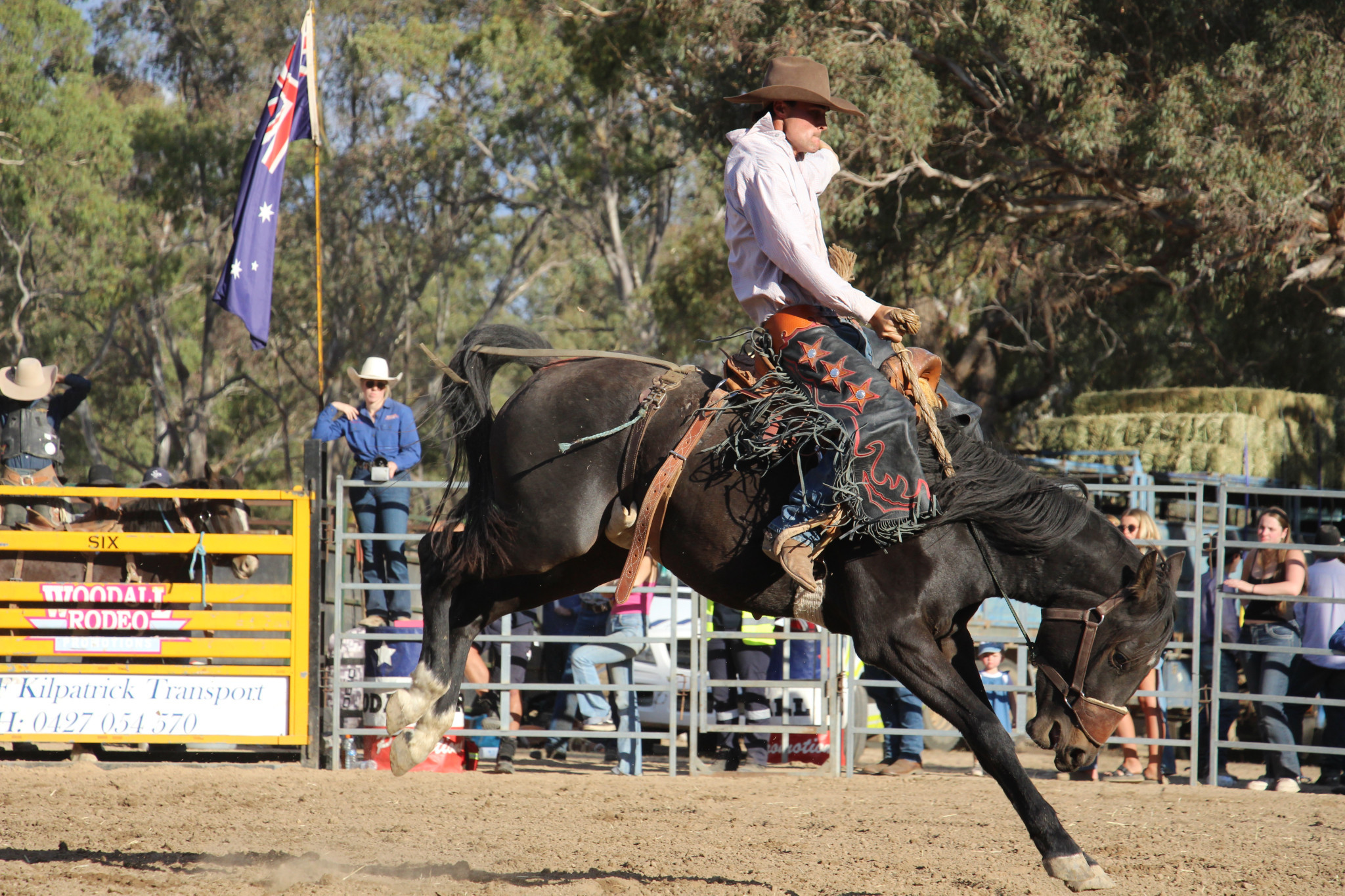 Angus Joel puts on a show.