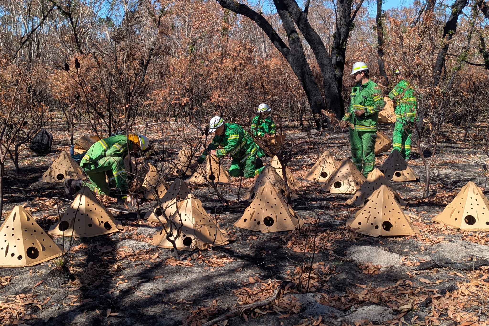 Some of the 350 rescue pods made to protect endangered species.
