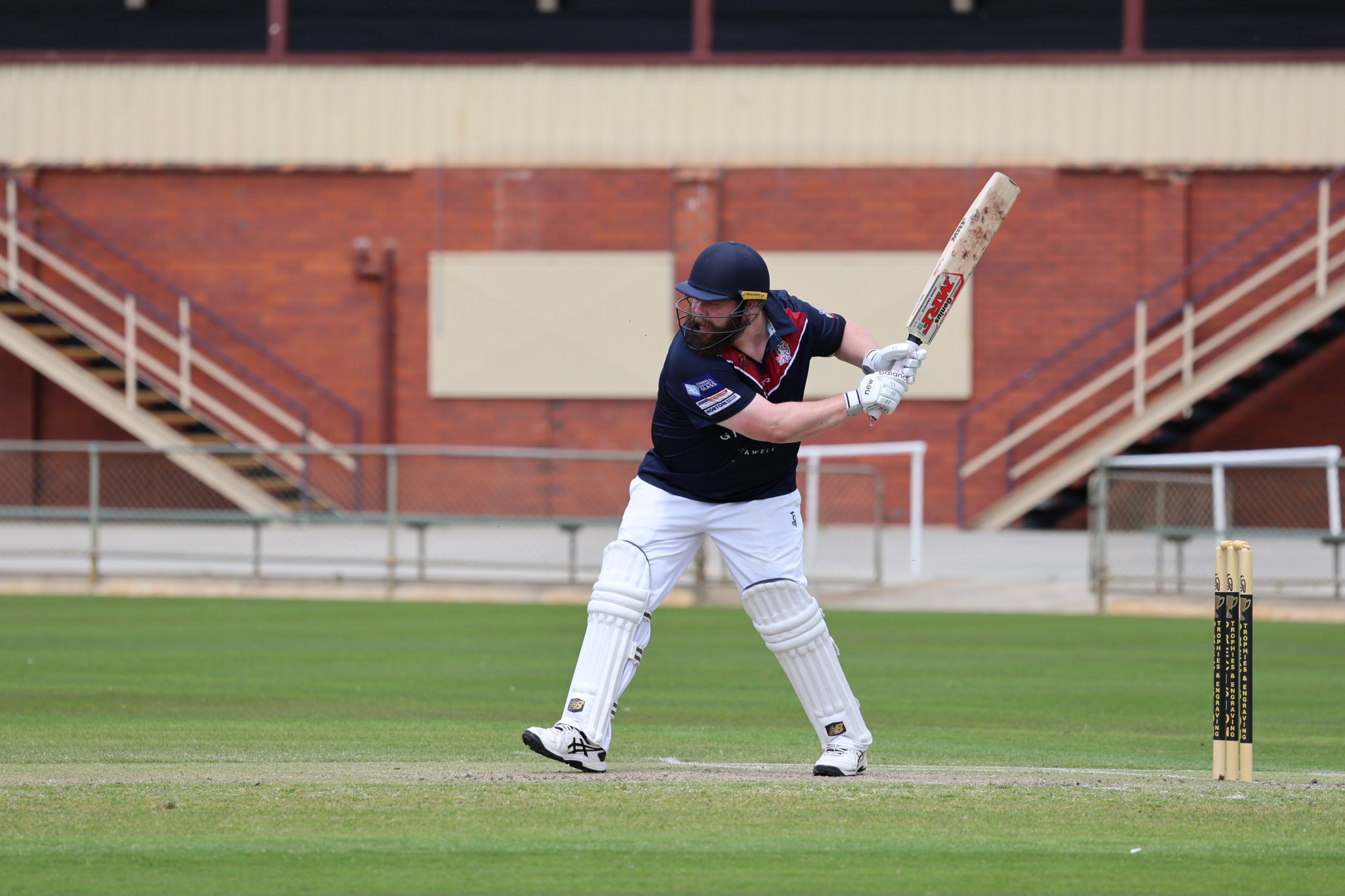 Matthew Delzotto top-scored for the Lions with 40 runs which helped set up a strong total of 171. PHOTO: HENRY DALKIN