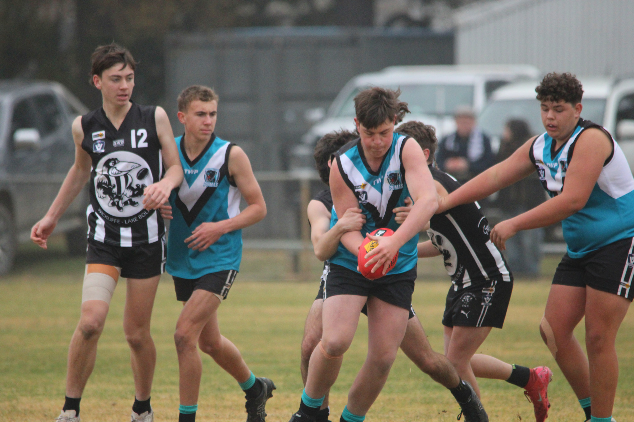 Charlie Sherer (Pumas) breaks a pack and kicks the ball forward. PHOTO: CHRIS GRAETZ