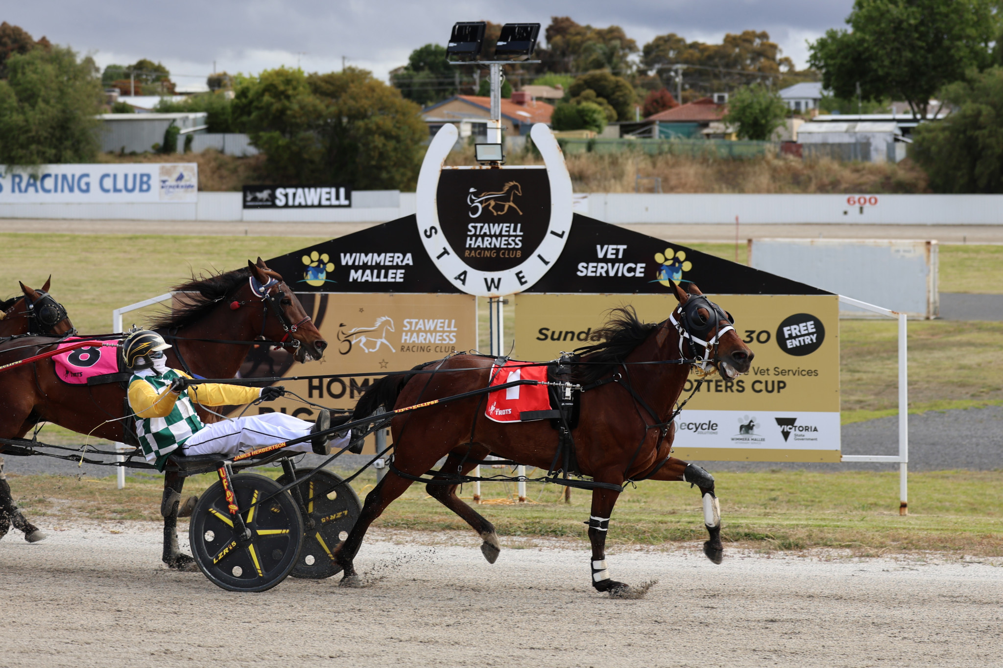 Sir Nippa romps home to a huge victory in the Stawell Gift Hall of Fame Stawell Pacing Cup Final with the driver Jordan Leedham. PHOTO: HENRY DALKIN