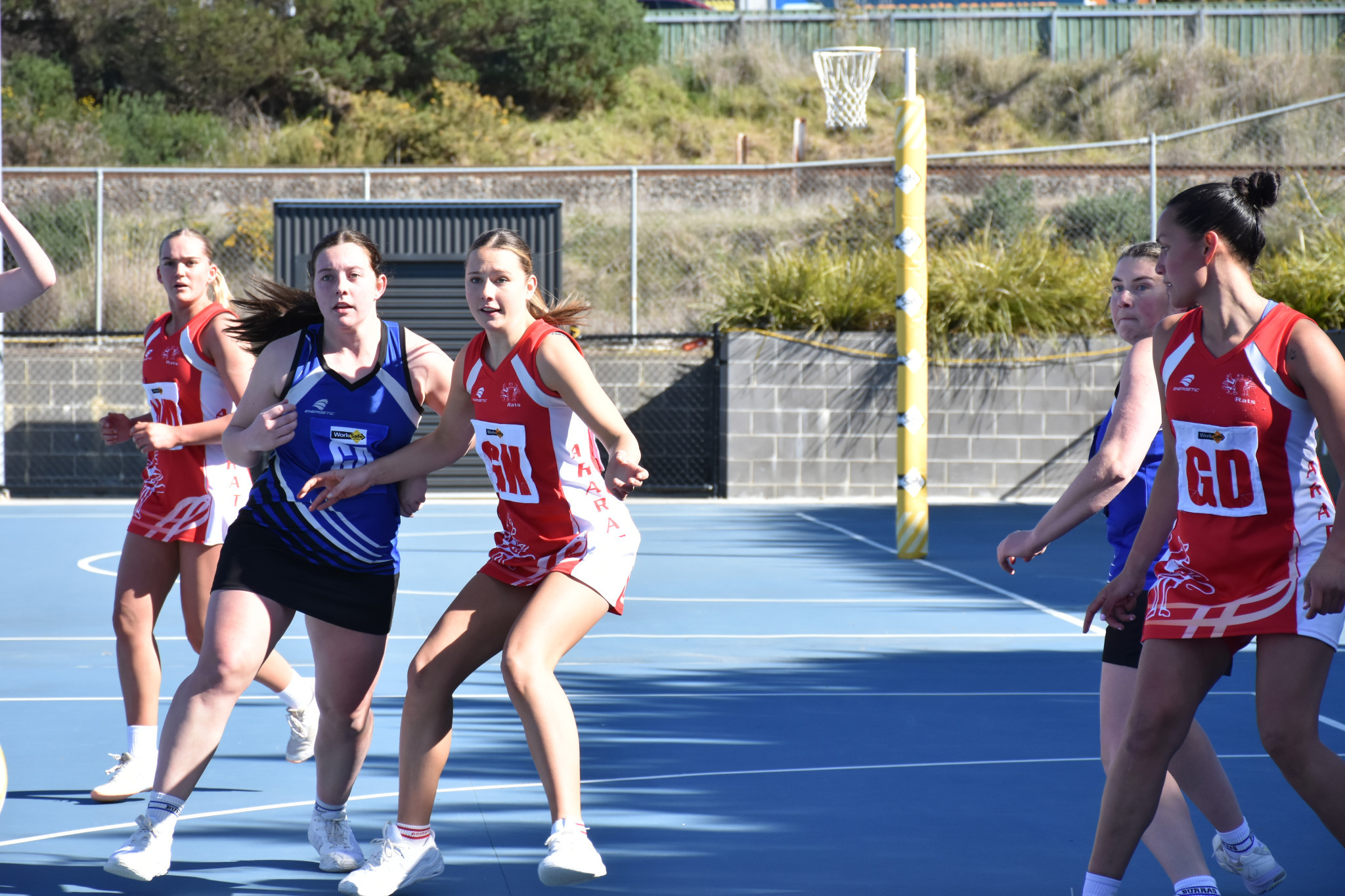 Rats' Demi Bligh and Paige Biddle set up defensively. Photo: SHARON BASSET