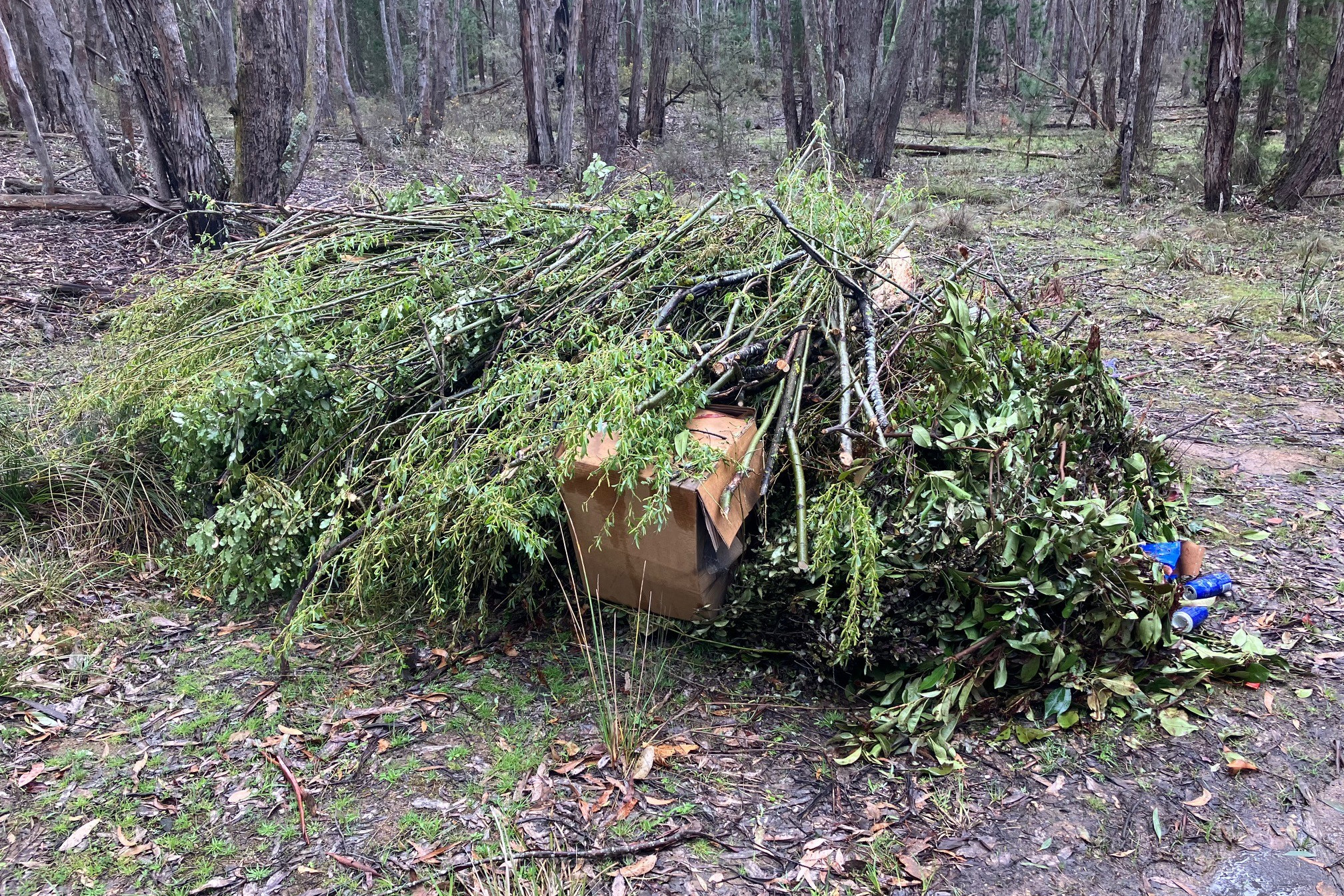 A pile of garden waste and rubbish recently dumped near Snake Valley which council officers were forced to clean up.