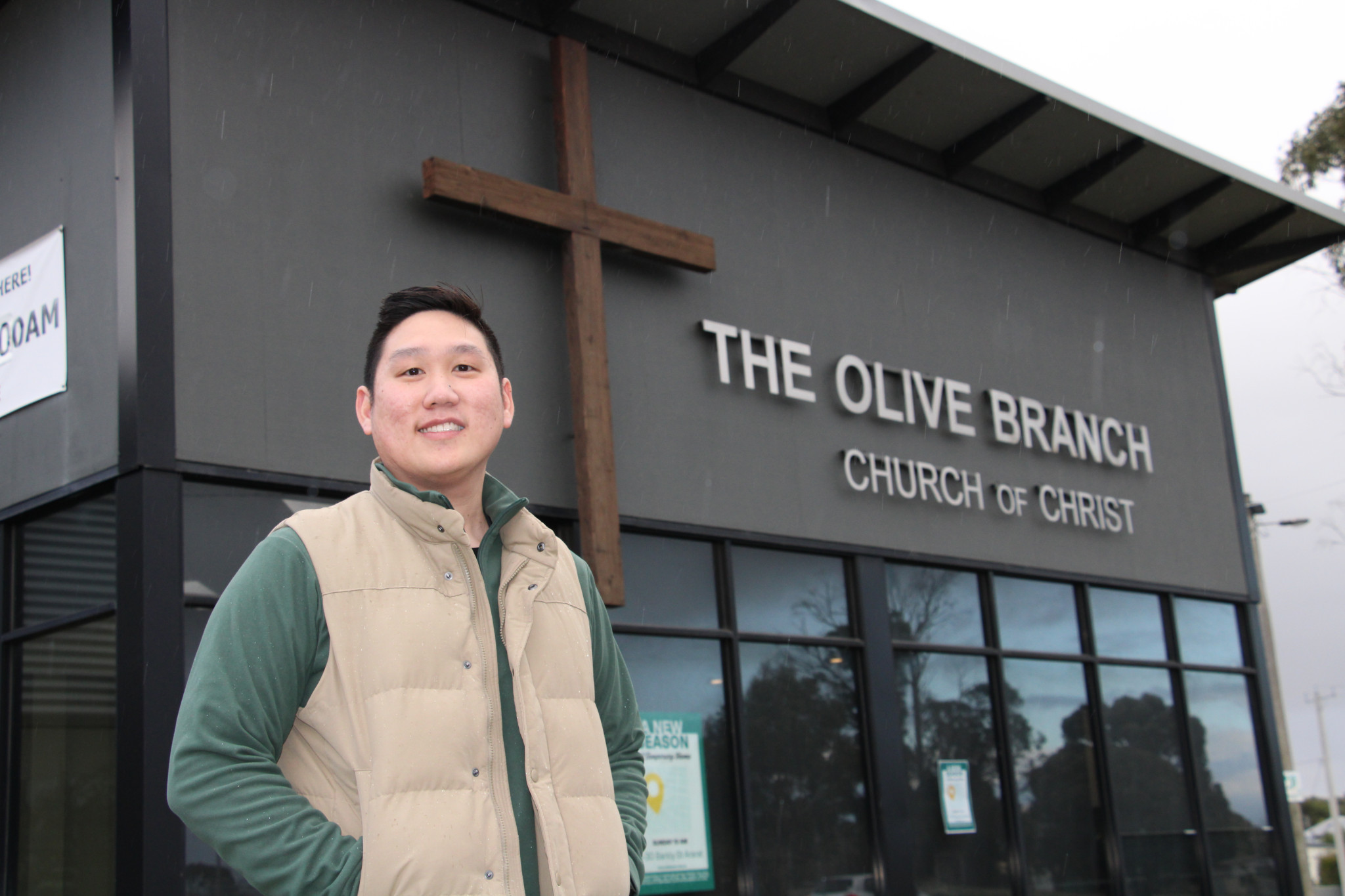 Olive branch grows - feature photo