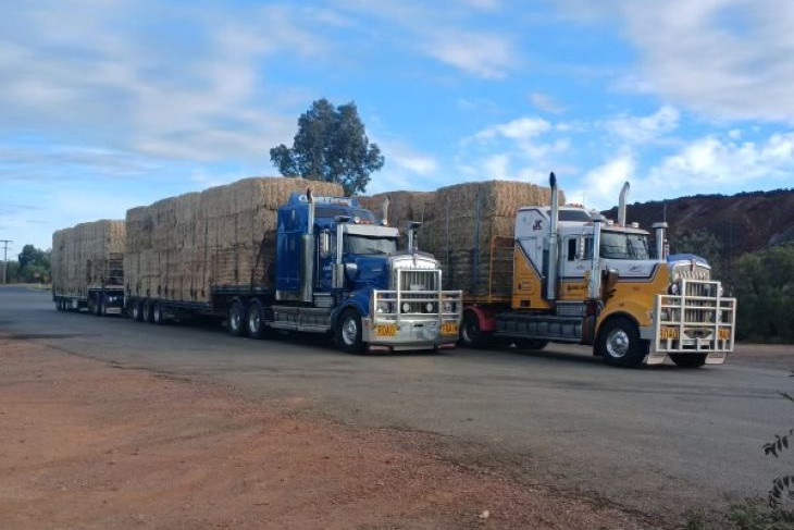 Local farmers around Natte Yallock have generously donated three road trains of hay for flood affected farmers in Queensland.
