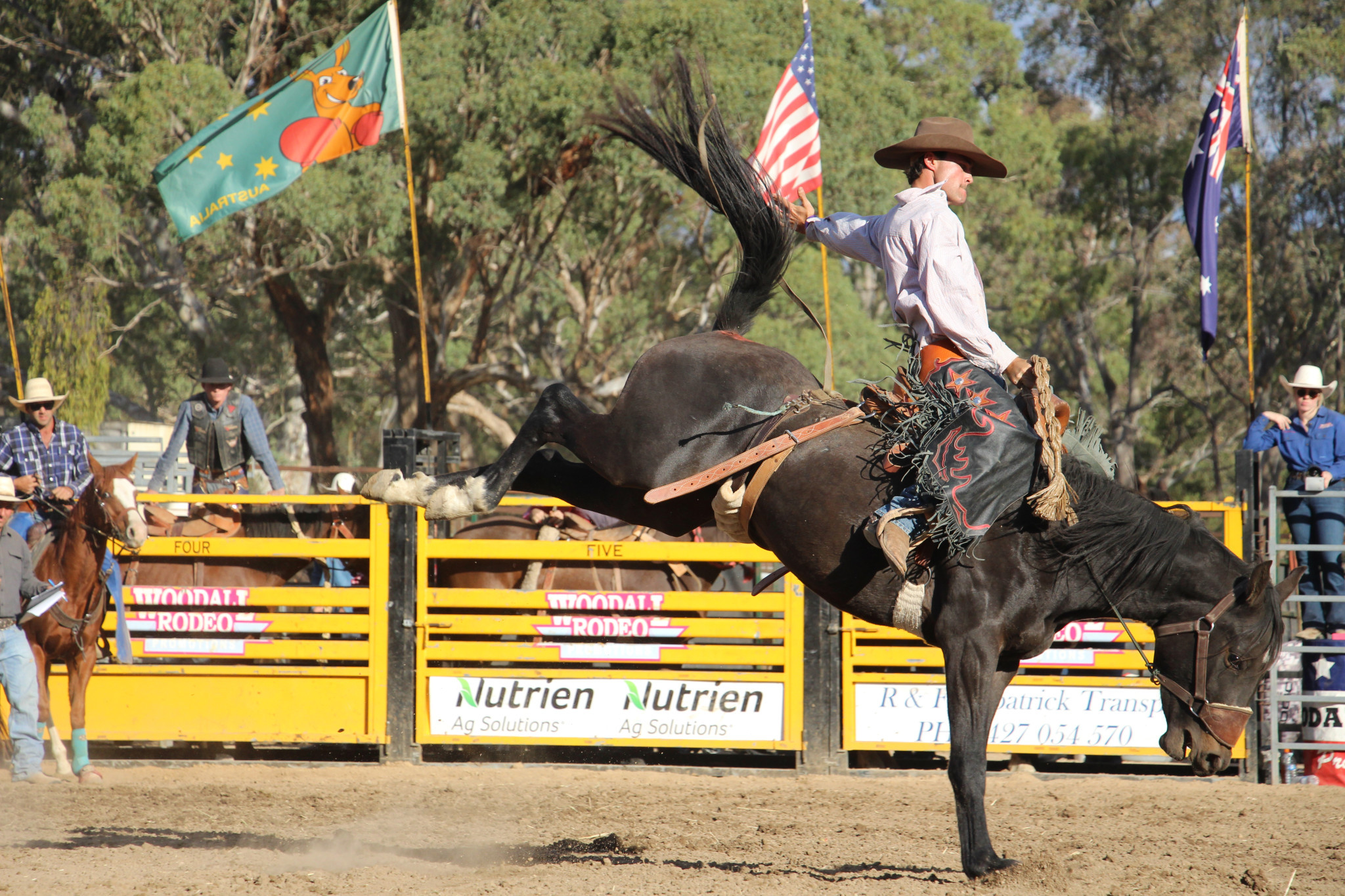 Council has thrown its support behind four major events including the Great Western Rodeo. Photo by Ellen Anderson.