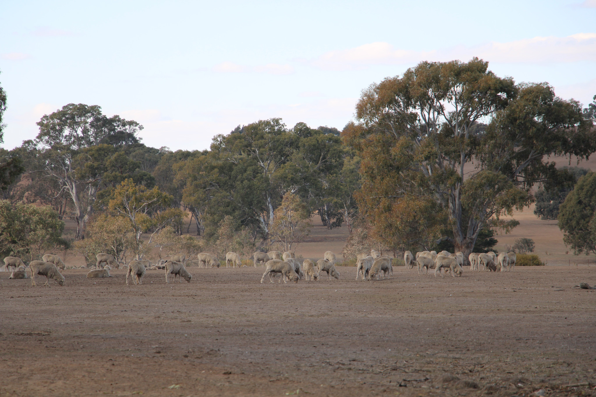 Local farmers are battling one of the driest seasons on record across the Northern Grampians Shire.
