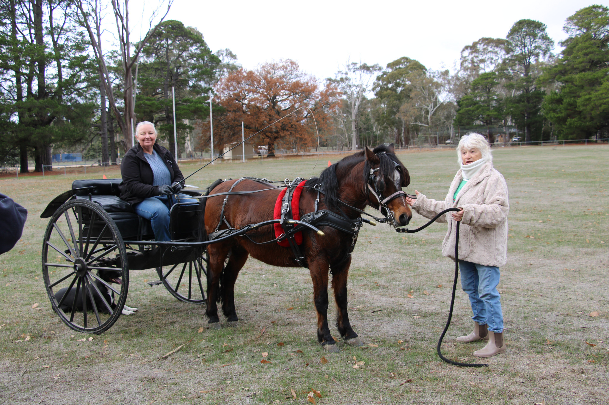 Kaz Rustman and Margie Bowen walks visitors through what it takes to be a carriage driver.