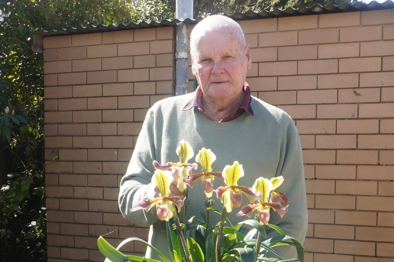 Stawell Orchid Society member John Welsh is sure to have some impressive entries at this year’s Spring Show.
