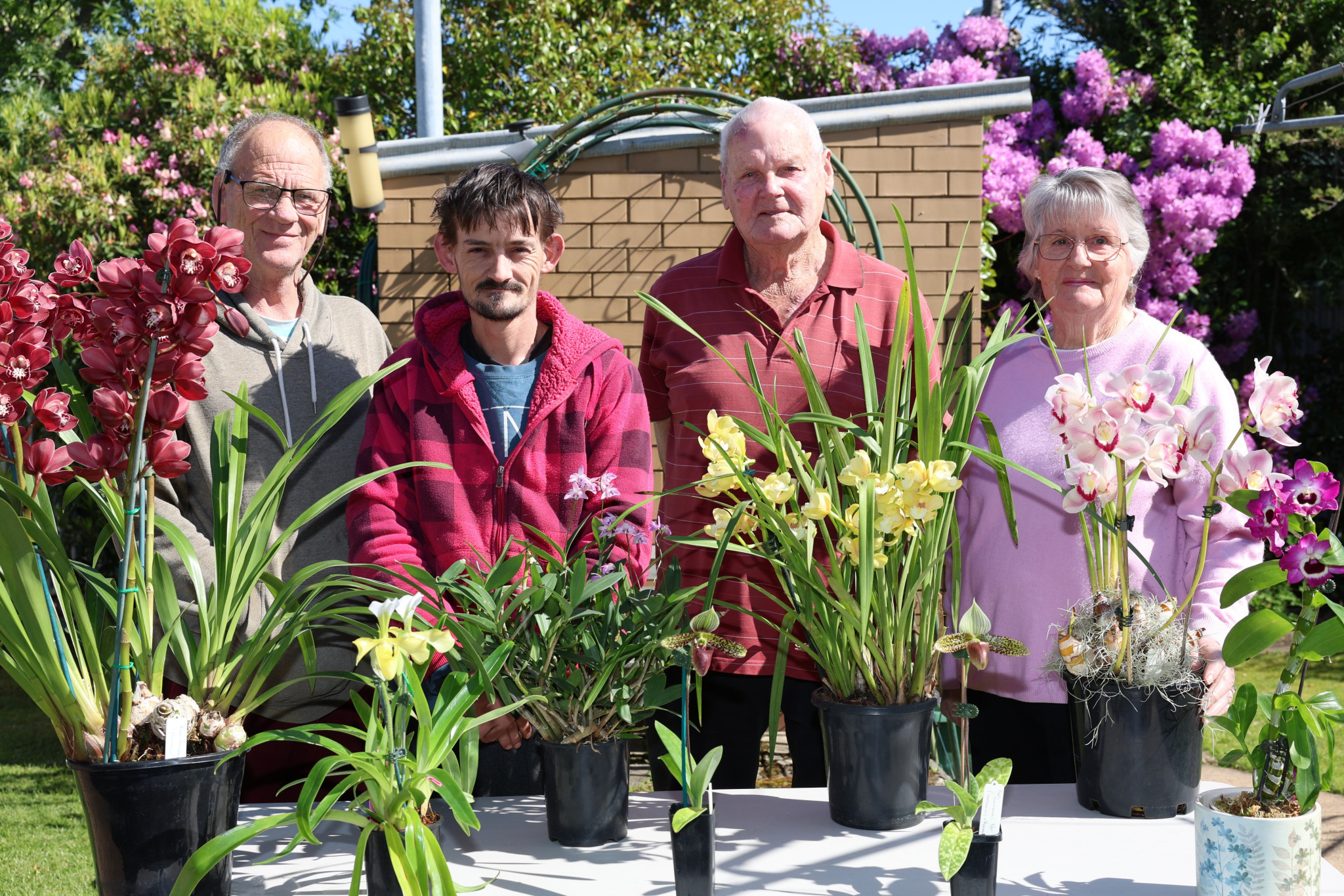 Stawell Orchid Society is gearing up for its Summer Show event this weekend and members got together on Wednesday morning to promote the event. From left: Warren Nightingale, Shannon Begg, John Welsh and Anne Gardiner are all excited for the show.