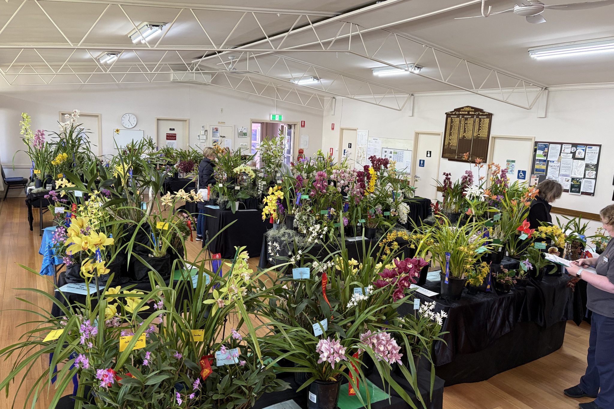 Stawell Senior Citizens Rooms were transformed into a sea of colour last weekend.