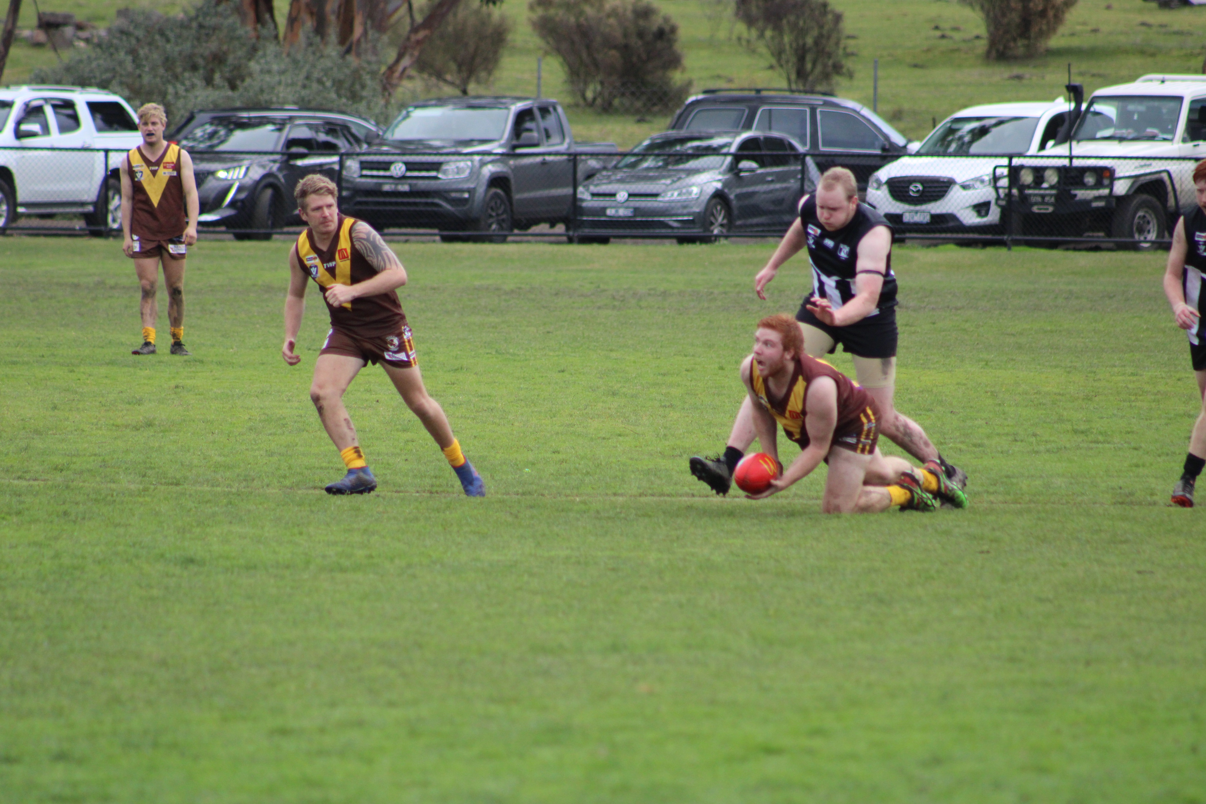 Super Saturday ahead for MCDFNL - feature photo