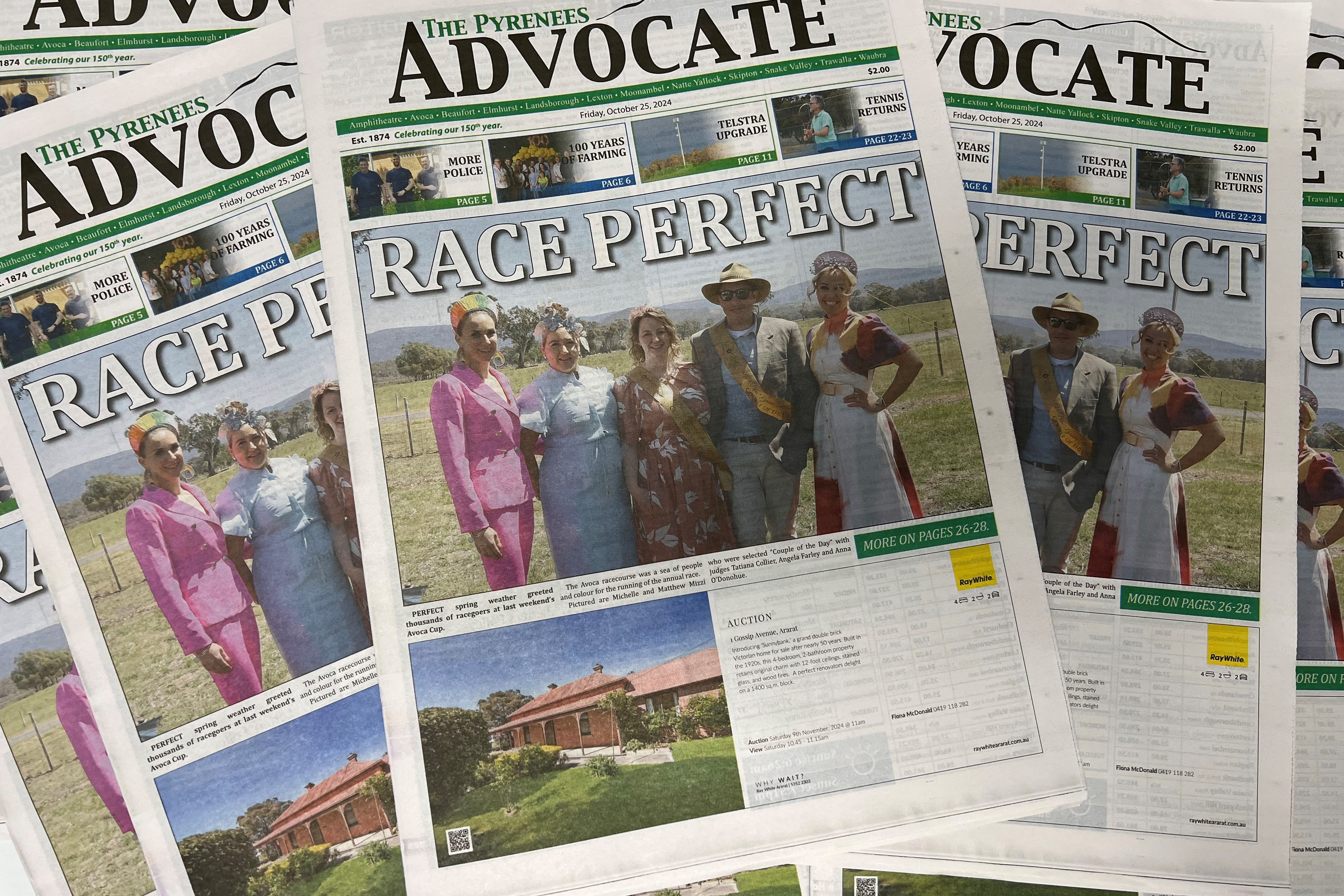 Pick up your Pyrenees Advocate today - feature photo