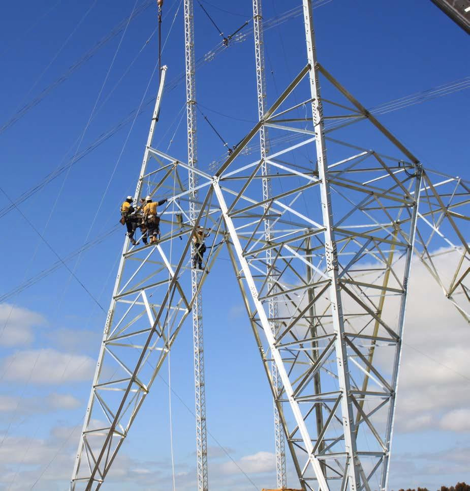 The height of the towers supporting the power lines has stirred many rural Victorians.