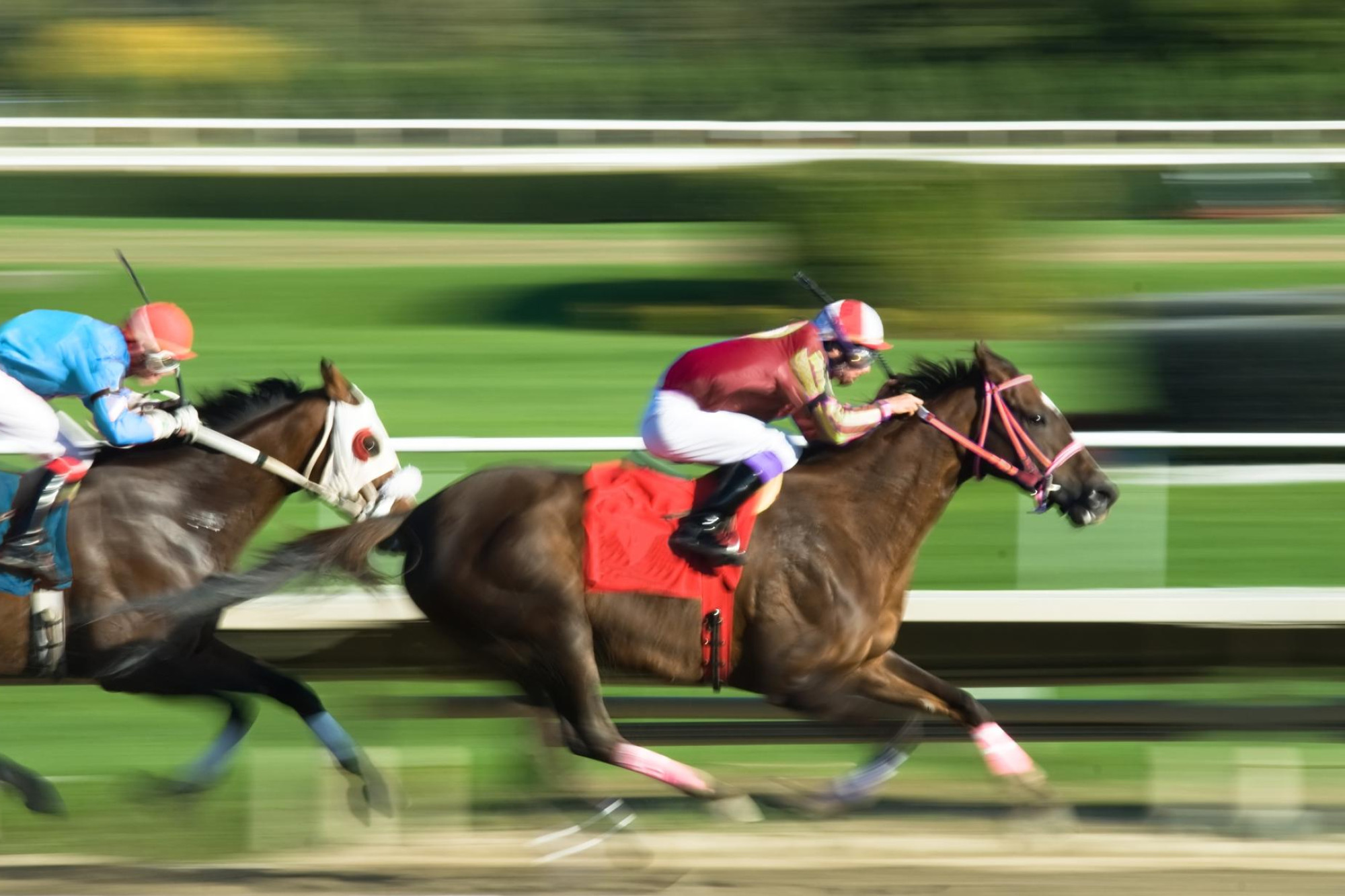  Australia's racing calendar is peppered with events that stand out in the global racing arena. Picture Shutterstock