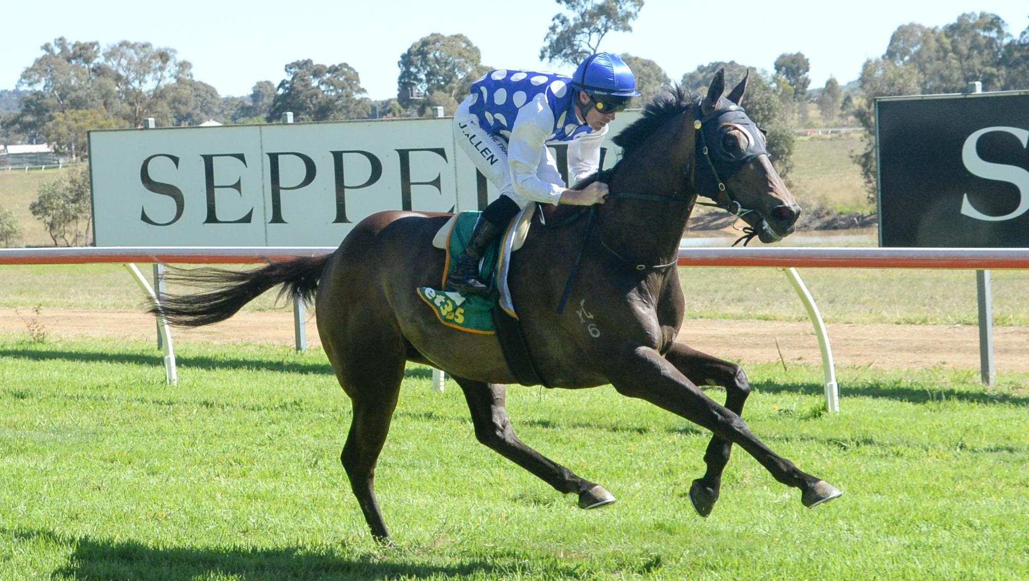 Excelleration, ridden by John Allen, wins the 2024 Seppelt Great Western Cup. Picture by Ross Holburt/Racing Photos