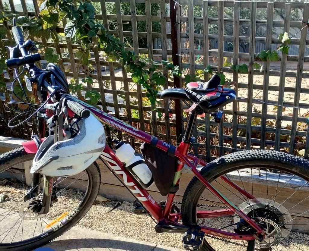 Police are appealing for information in relation to the pictured bike that was stolen on May 25 2024 between 7-10pm. Picture supplied